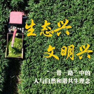 通过一个又一个绿色项目助力当地发展,为推进全球环境治理作出实实在