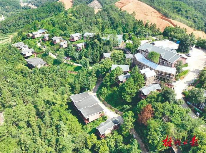 近年建成的六堡茶庄园为游客提供优质的住宿环境。陈凡摄