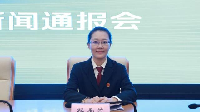 通报会现场。  图源：大兴法院