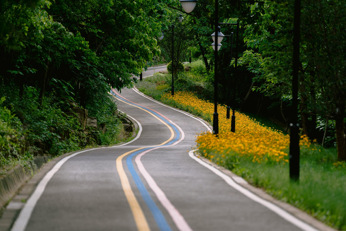 霍里山公园一期改造后铺设的彩虹绿道。本报通讯员 彭 毅 摄