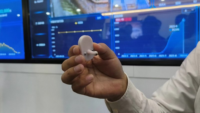 智能耳标内嵌了传感器，能监测猪只的体温变化、健康状况和运动情况。（中国商报记者 焦立坤/摄）