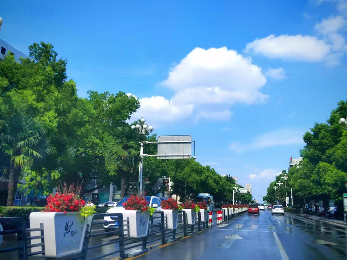 一路“生花”的景观道路。本报通讯员 胡晓娟 摄