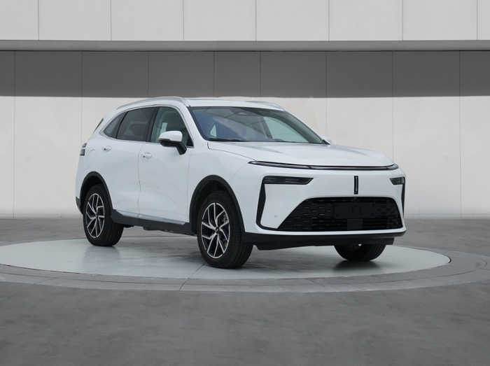 ▲ 申报图，下同