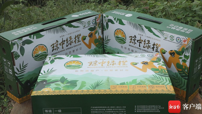 琼中绿橙专用包装箱。记者 郑光平 摄