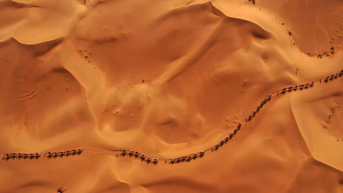 7月20日，游客在中卫市沙坡头景区腾格里沙漠体验沙漠骑骆驼（王鹏/摄）