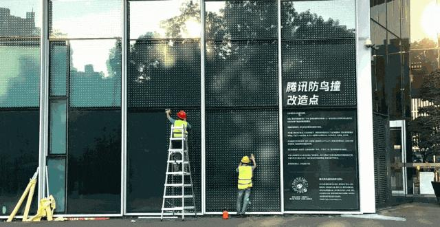 腾讯给深圳总部大厦“贴膜”（图源腾讯）