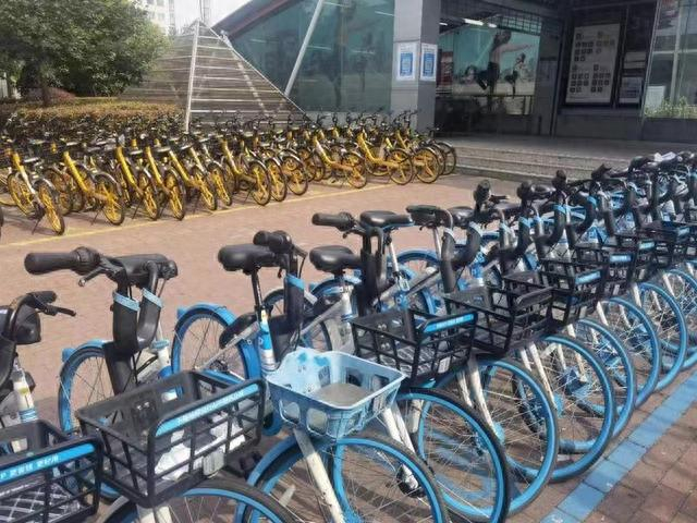 “四色停车位”。图源：微信公众号“普陀桃浦”