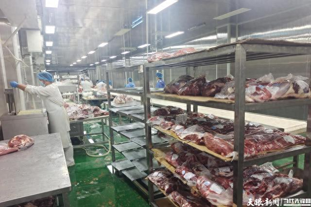 上海金山贵州黄牛分割配送中心（受访者供图）