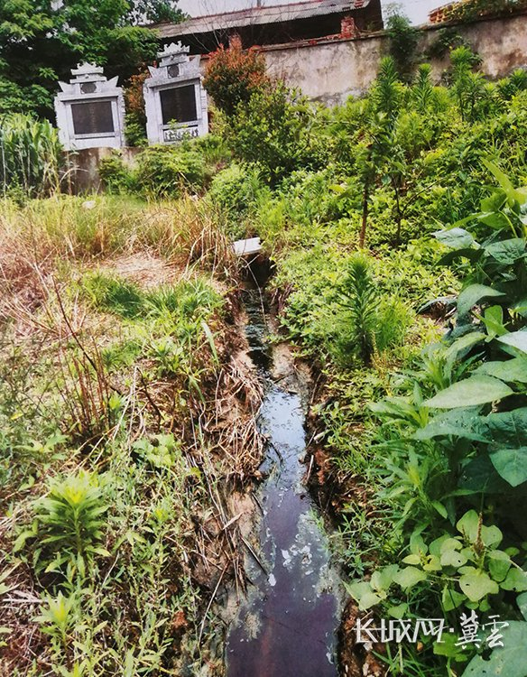 在武汉市新洲区李集街道张信村黄土坡，昌盛泡花碱厂排污沟里的污水呈酱油色。（2023年5月31日摄）张信村村民 供图