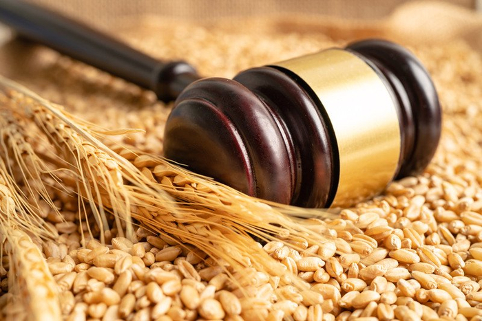 图片来源：IC photo