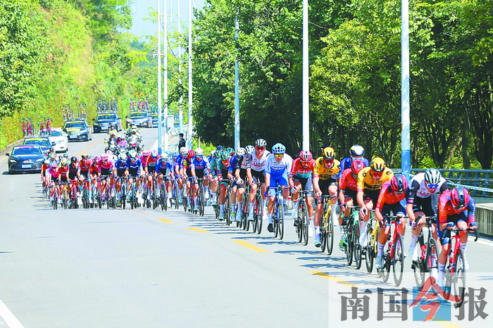 选手们在青山绿水间骑行。南国今报记者 王缉宁 摄