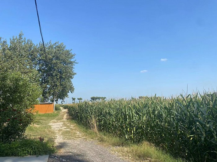 图源：时代财经