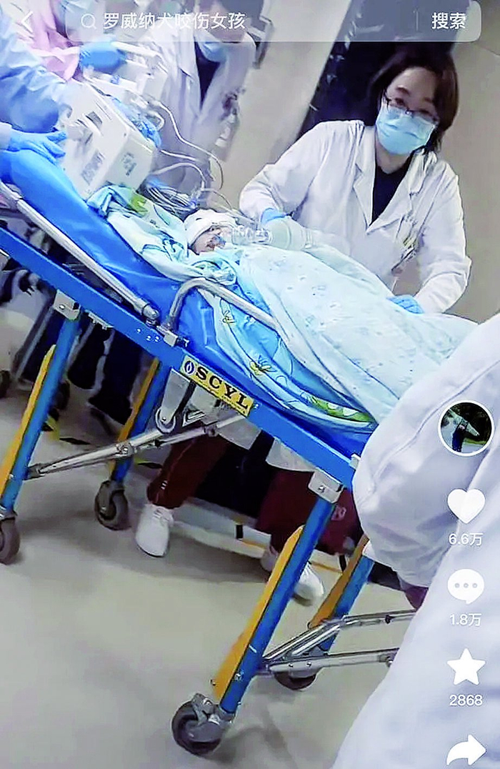     女孩正在医院救治