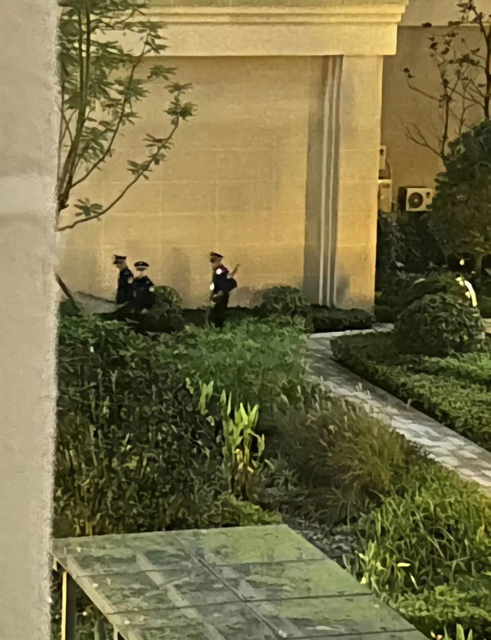 事发当天，重庆对外经贸学院保安对流浪狗小黄进行抓捕。视频截图