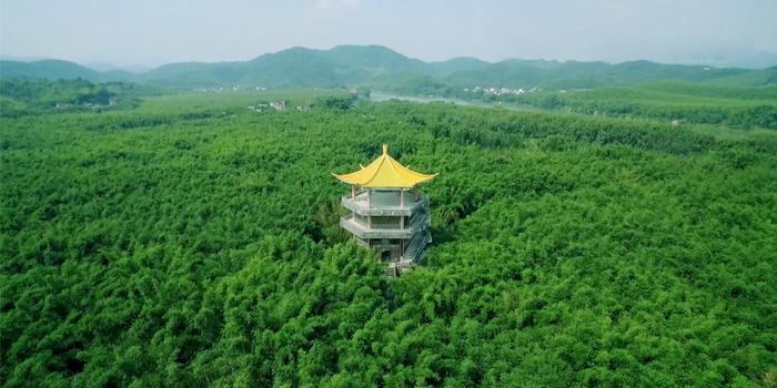 △图源 广宁发布