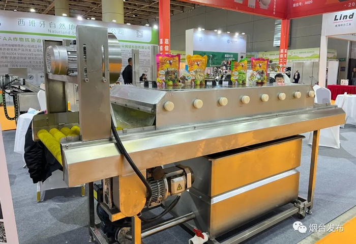 FD-智能真空冻干机