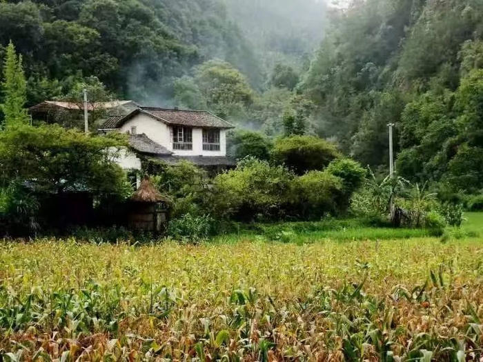 岜農在老家修的住所“那田農舍”