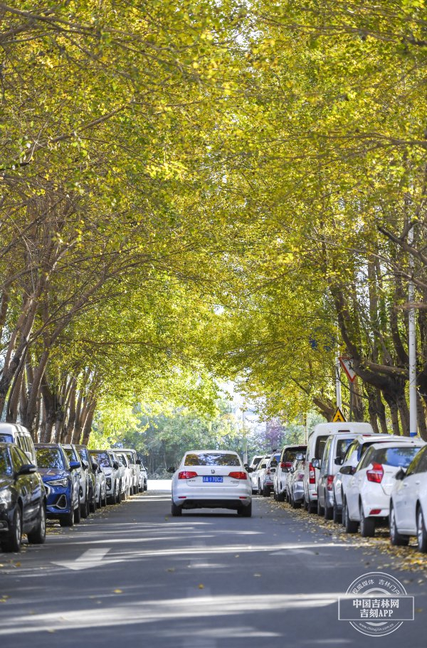 秋之色彩吉林～～吉祥之地,一步一秋色|吉林省|长春市_新浪新闻