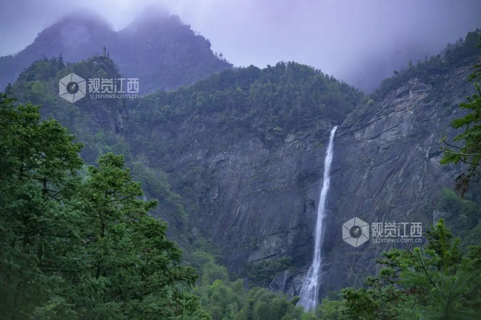 大江网/大江新闻客户端 全媒体记者 王祺 摄