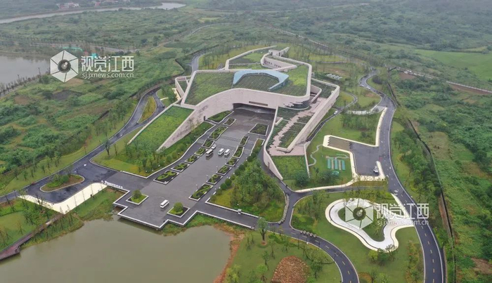 大江网/大江新闻客户端 王祺 摄