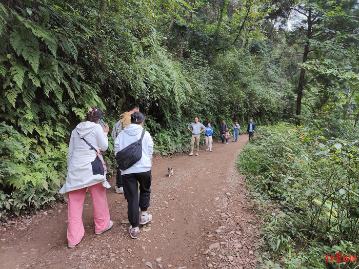 ▲上山的黄先生一行人偶遇另一批下山游客