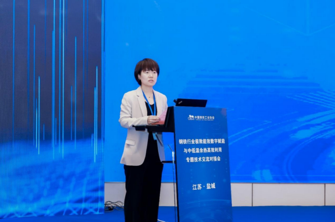 图为陈丽云主持中低温余热高效利用专场会议
