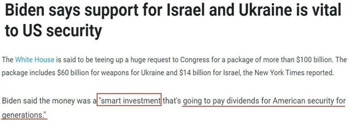 △法国24新闻台网站报道截图