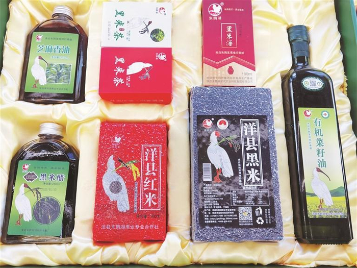     洋县有机产品展示。  （汉中市委宣传部供图）