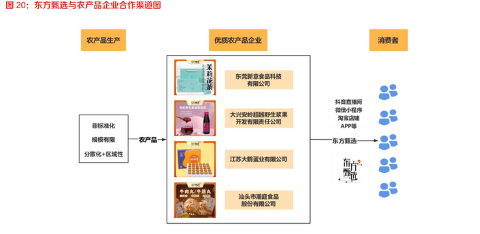 图源：东方证券研究所