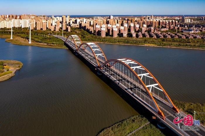 天津最美的桥图片