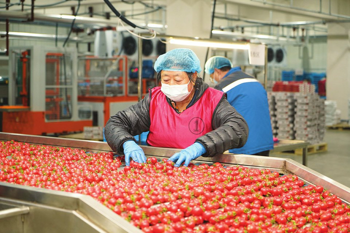 【深度透视】打好"特优牌" 叫响"晋字号"|山西省|农产品|苹果_新浪