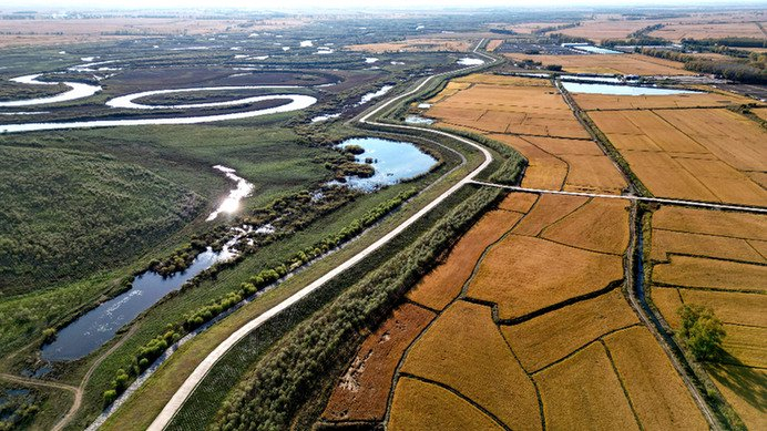 　　黑龙江省黑鱼泡省级自然保护区内，湿地与周边稻田相互映衬，构成一幅和谐共生的美丽画卷。记者　范迎春　摄