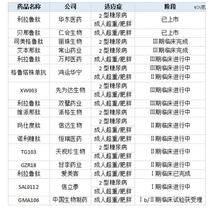 部分中国药企“减肥药”进展；36氪根据公开资料整理制表