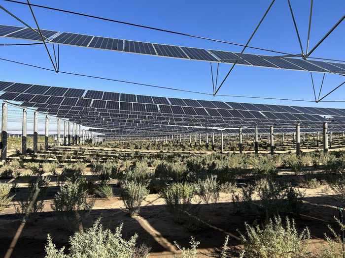 九墩滩光伏治沙示范园区。贾珺/摄