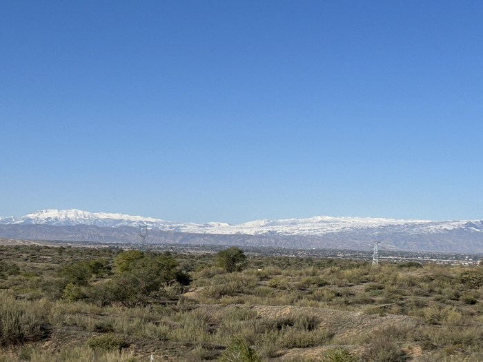 昔日的八步沙变成了绿洲。贾珺/摄