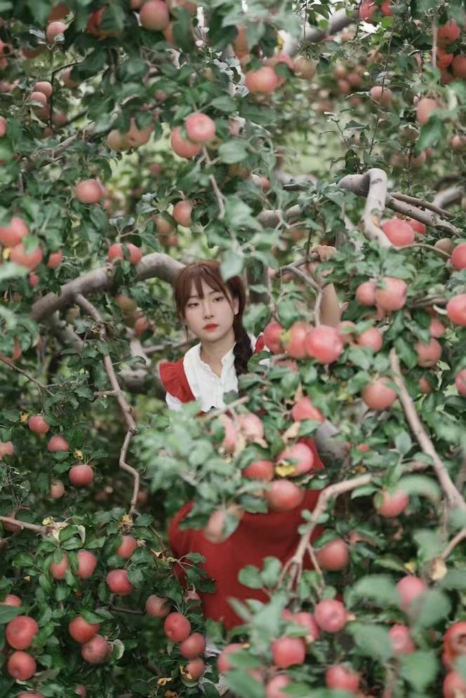丛雨萌 四川在线记者 边钰 受访者供图