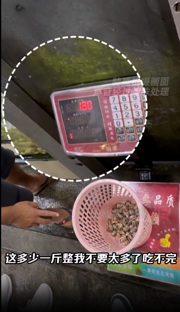 读特融媒体记者在某姐美食店就餐时，店家用该篮筐给花螺称重。
