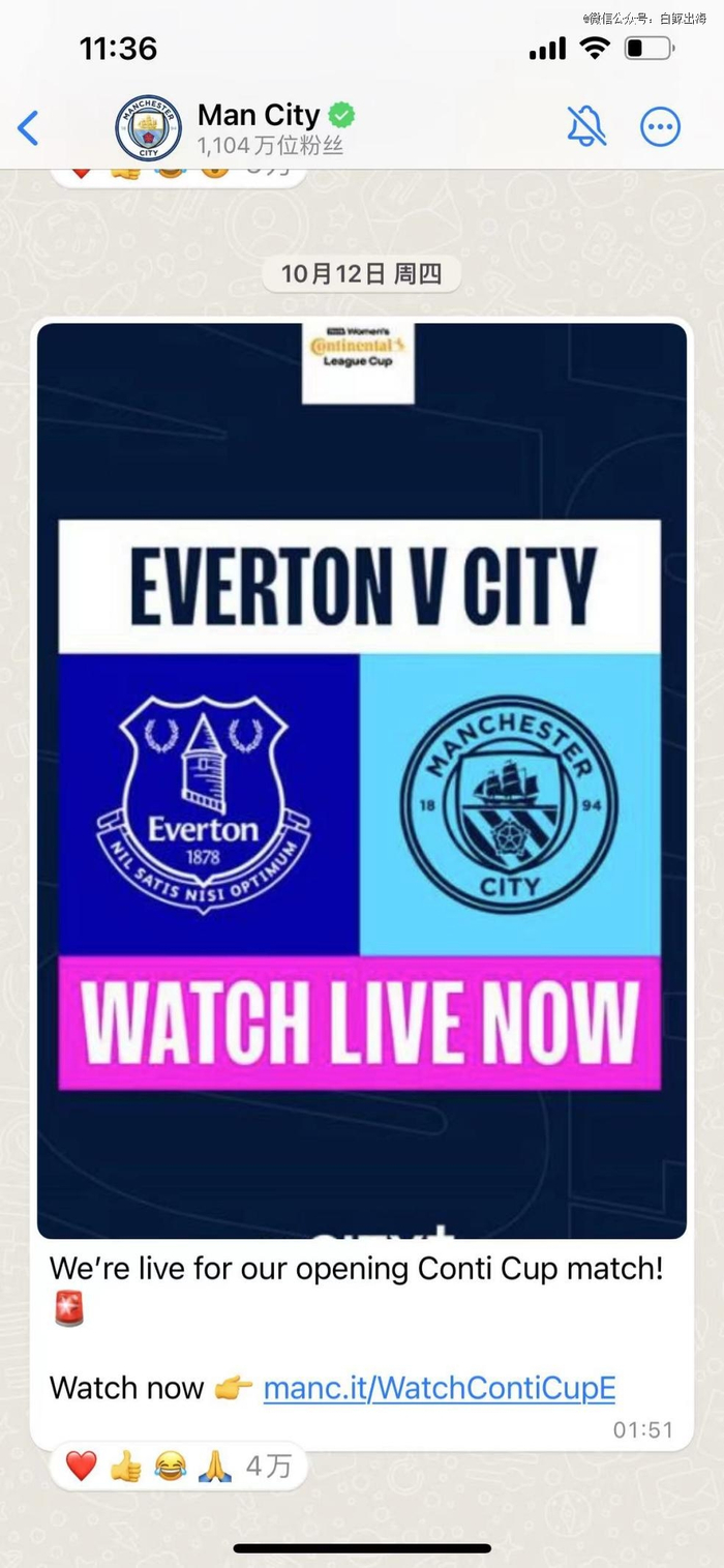 Chnnels 功能截图｜图片来源：WhatsApp