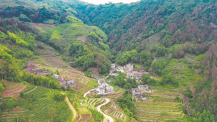 占西坑村全景    陈雅芳 摄