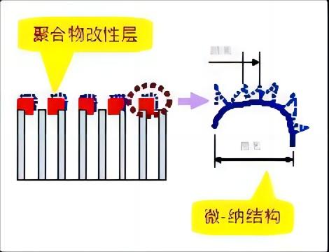 图6.改性膜表面模型