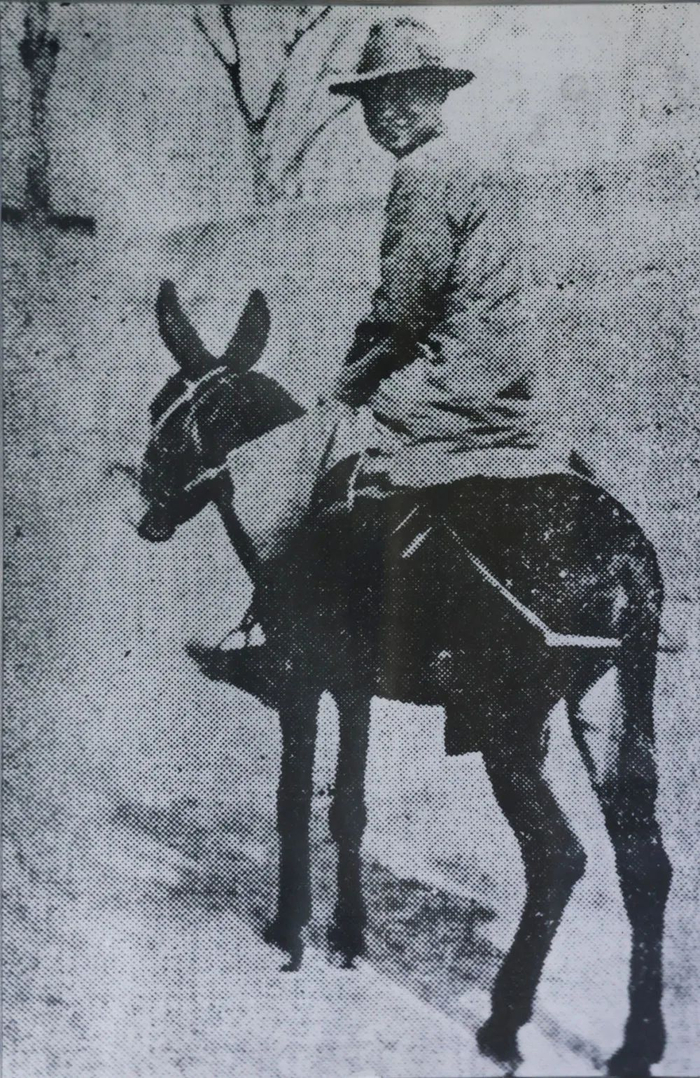 晏阳初骑驴照。新华每日电讯记者谢锐佳翻拍