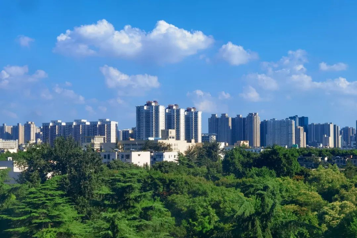 王秀清 摄