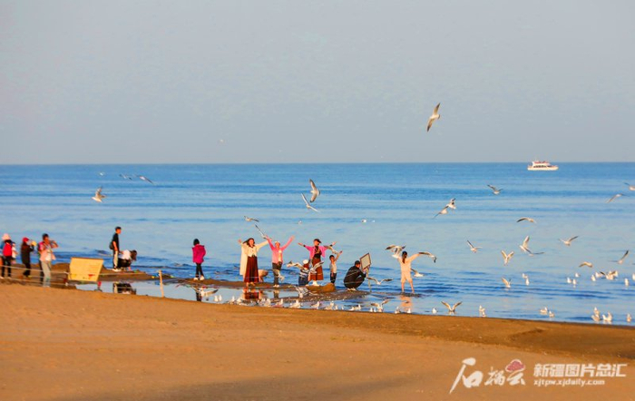 10月2日，游客在博斯腾湖大河口景区与水鸟互动。双节假期，各地游客纷纷来到位于博湖县的博斯腾湖景区赏景游玩。 甄立民 摄