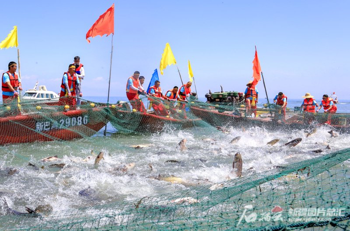 6月23日，当地渔民下网捕鱼。年磊 摄