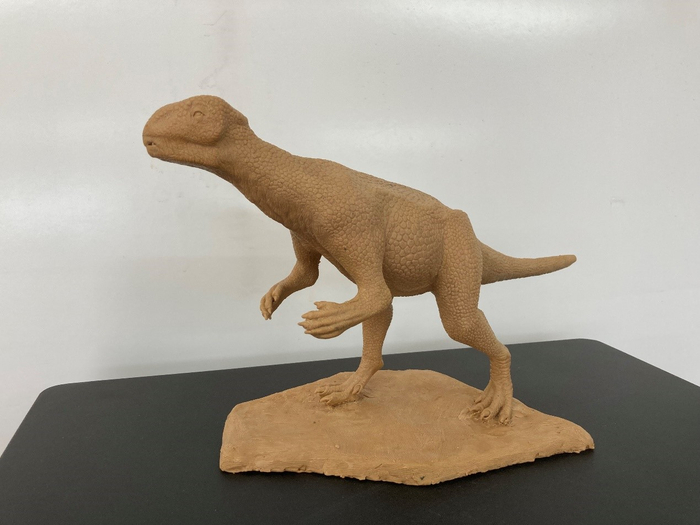 图为此次发现的角龙类恐龙复原模型。龙潜 摄