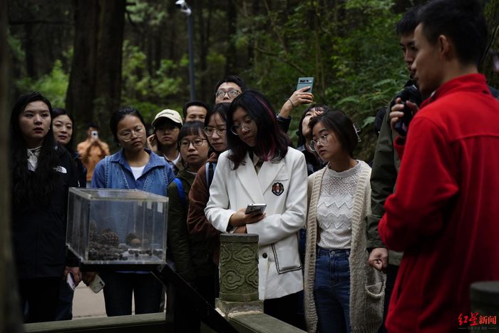 ▲采访团来到翠云廊采访