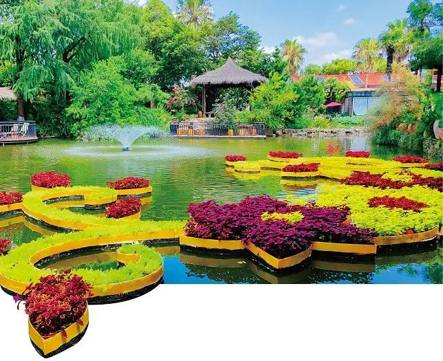 上图：上海上房园艺有限公司在闵行区浦锦街道打造的“梦花源”。