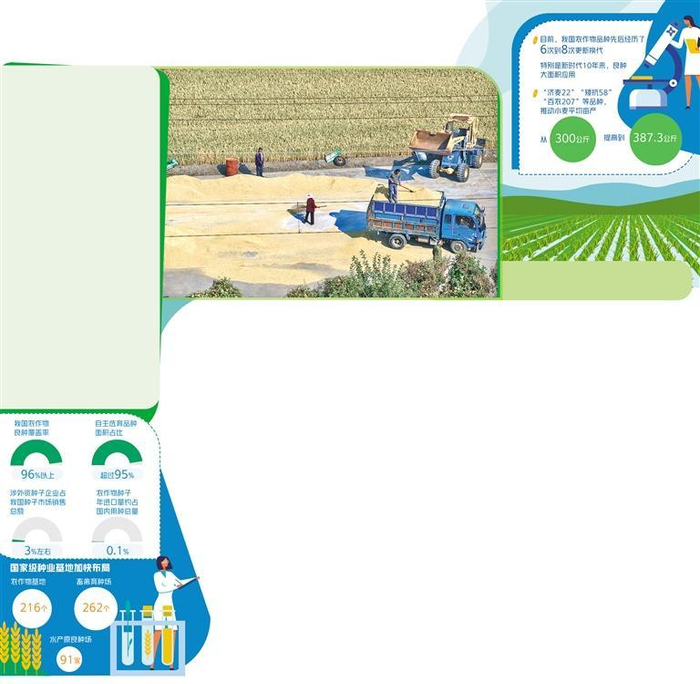 10月26日，农民在江苏省泰州市海陵区苏陈镇徐庄村晾晒水稻。汤德宏摄（中经视觉）