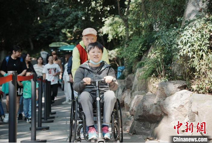 体验者乘轮椅游览杭州动物园。杭州市城管局供图