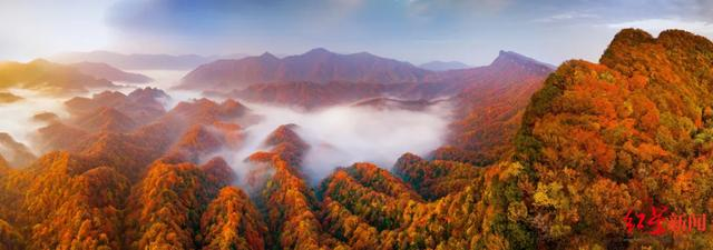 ▲图据光雾山旅游区官网